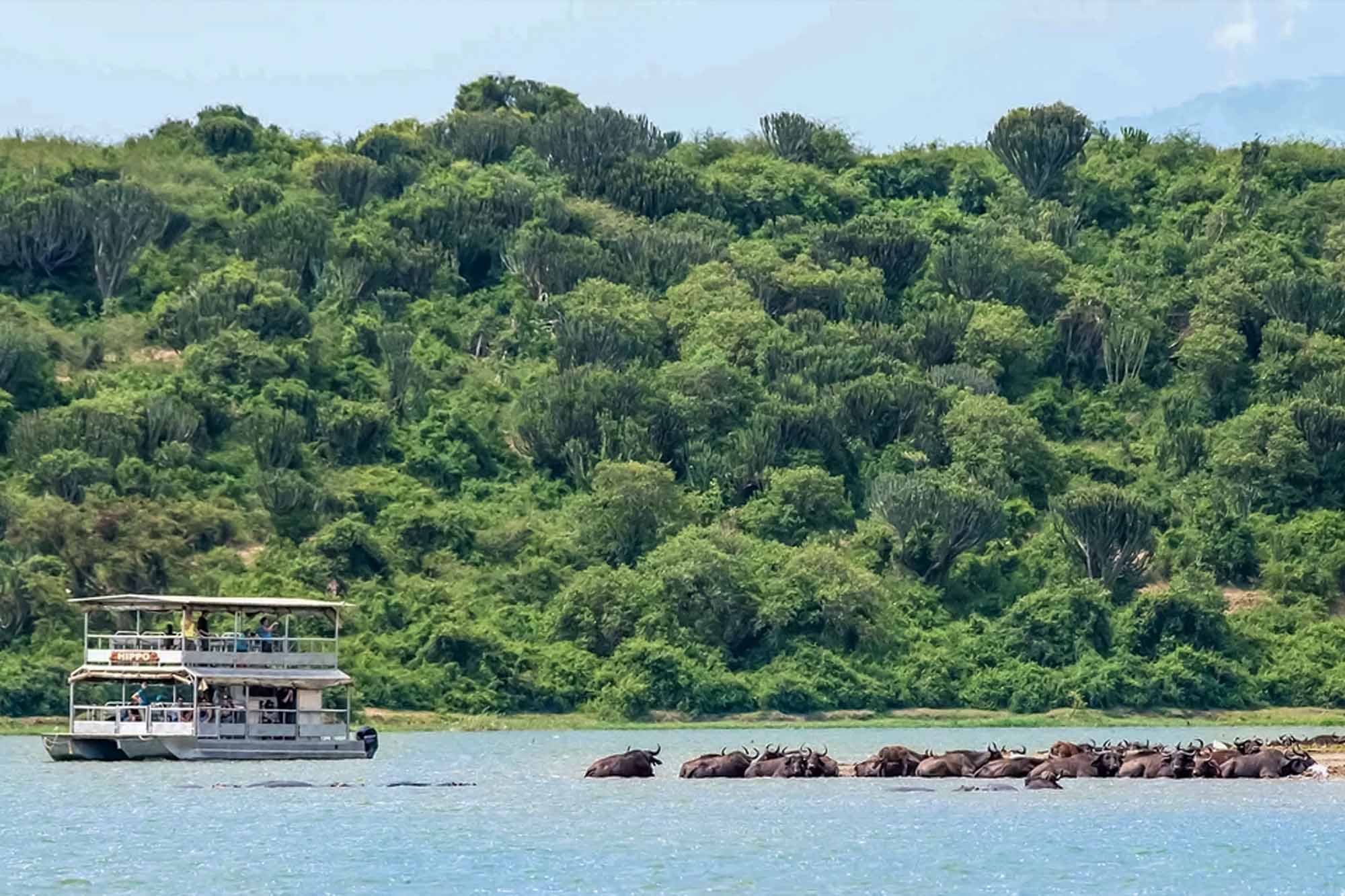 boat safaris kazinga channel