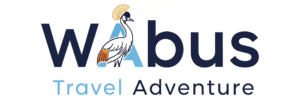 wabus travel adventure logo